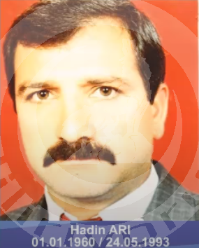 HADİN  ARI