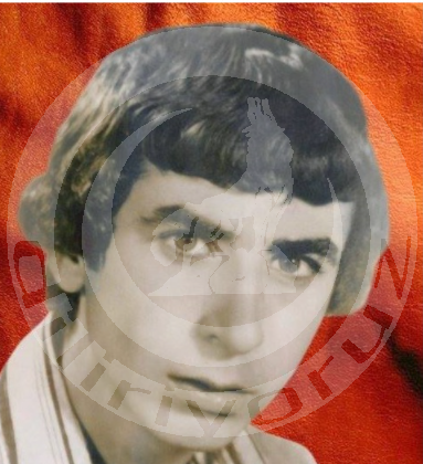 TEVFİK  SEÇİLMİŞ